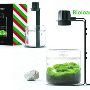 Preis Gesenkt Bioloark Wabi-Kusa Set, Gift Box LH-03